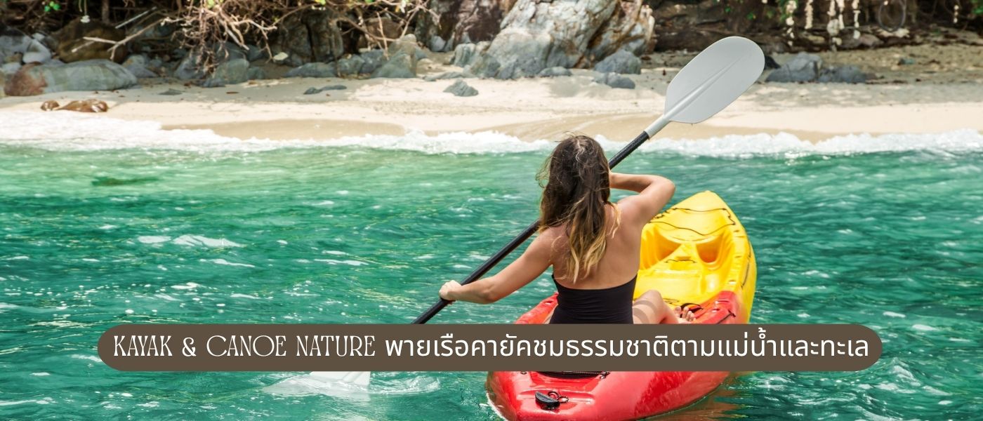 Kayak & Canoe Nature พายเรือคายัคชมธรรมชาติตามแม่น้ำและทะเล